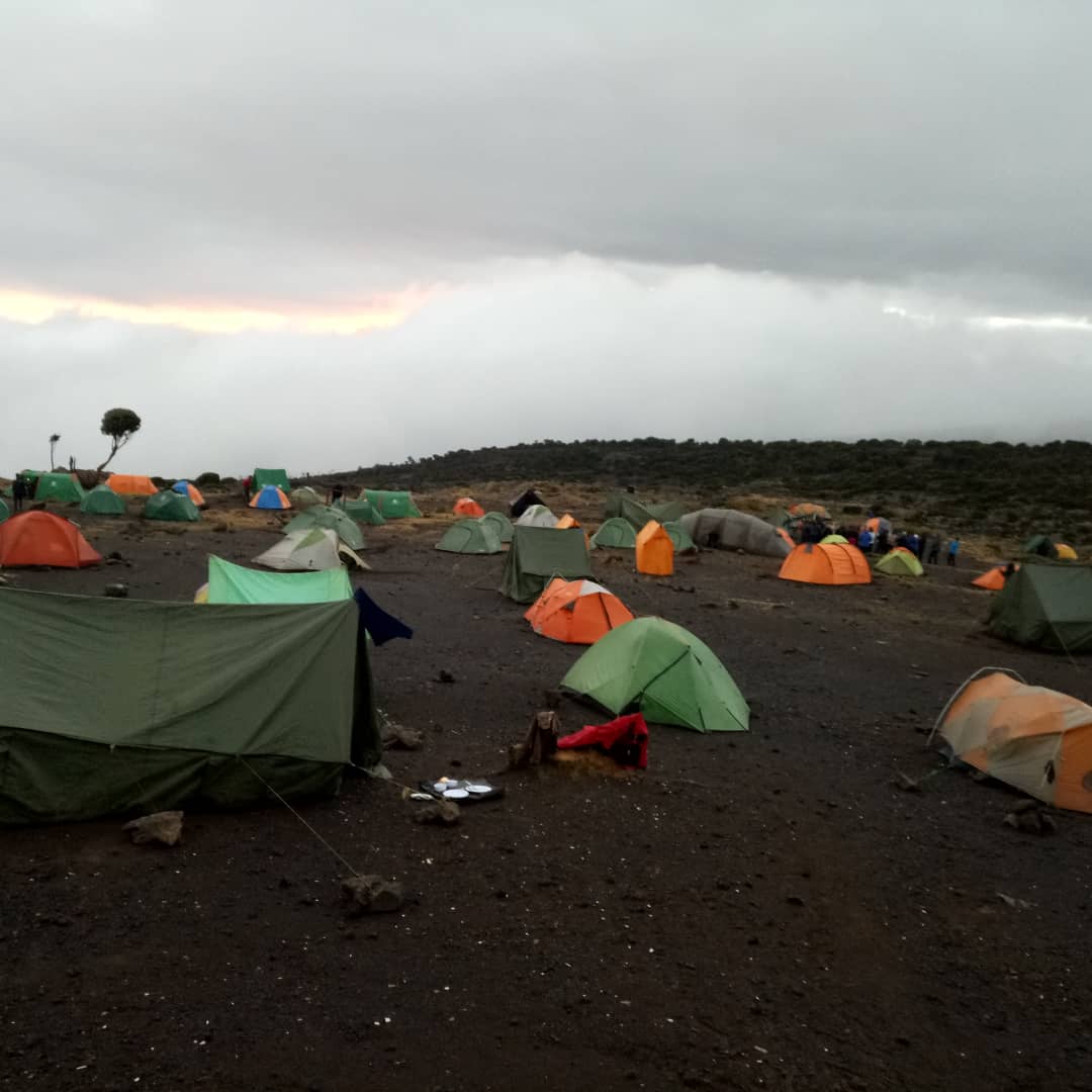 6 Days Shira Route Kilimanjaro climbing
